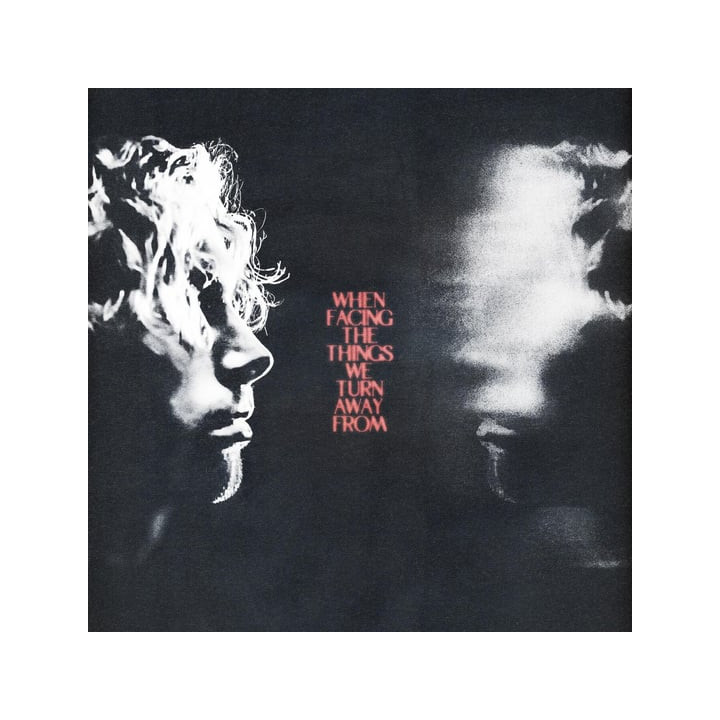 Hemmings Luke - When Facing The Things We Turn (LP)