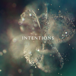Anna - Intentions (2LP)