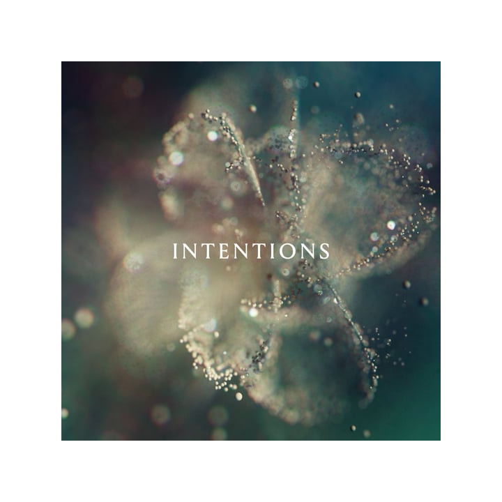 Anna - Intentions (2LP)