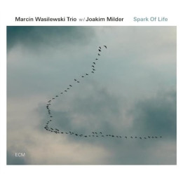 Wasilewski Marcin Trio - Spark Of Life (CD)