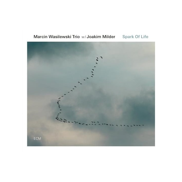 Wasilewski Marcin Trio - Spark Of Life (CD)