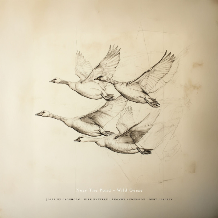 Near The Pond - Wild Geese (LP)