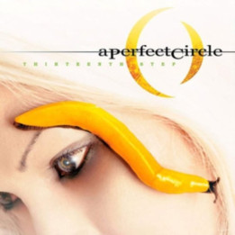 Perfect Circle A - Thirteenth Step (CD)