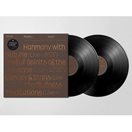 Halsall Matthew - Salute To The Sun Live At Halle St Peter's (2LP)