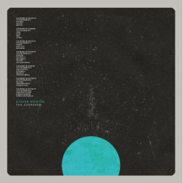 Wilson Steven - The Overview  (LP)