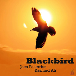 Pastorius Jaco/Rashied Ali - Blackbird (LP Green)