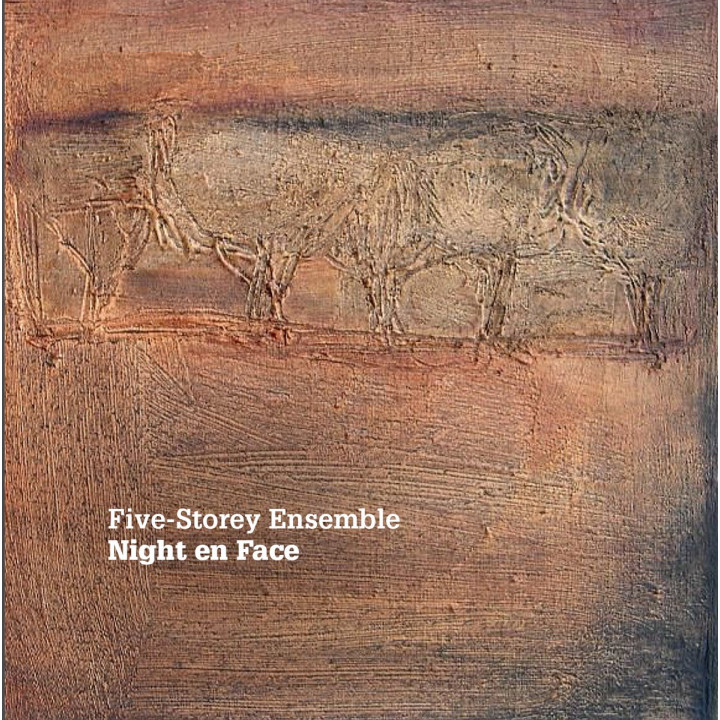 Five Storey Ensemble - Night En Face (CD)