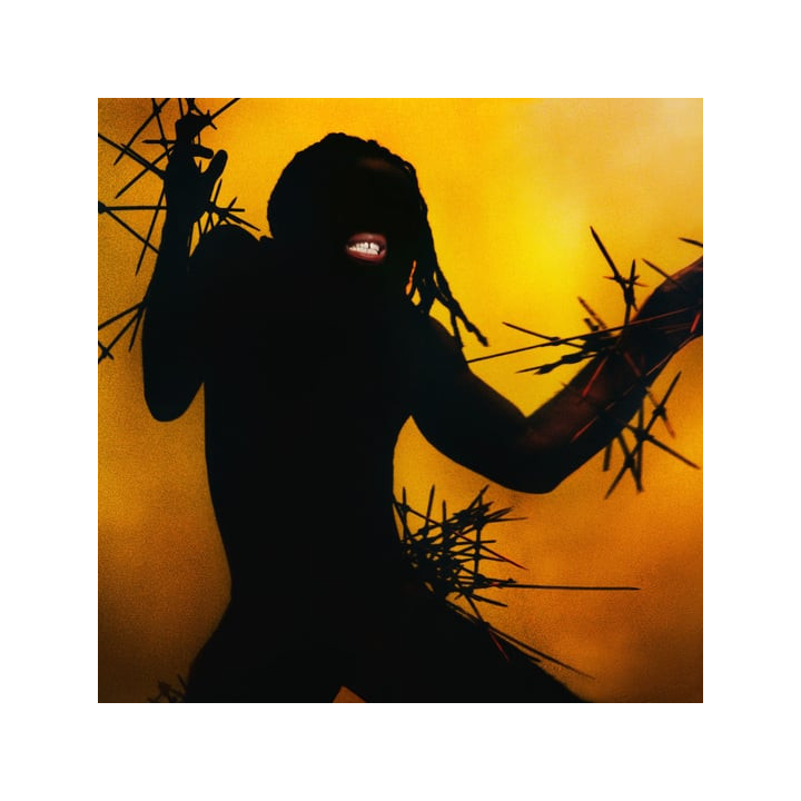 Young Fathers - Heavy Heavy (CD)