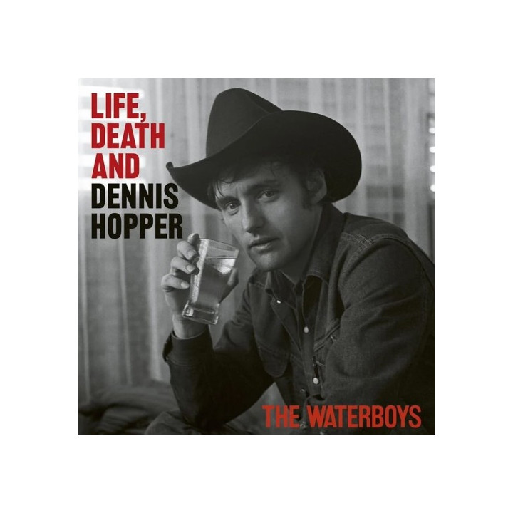 Waterboys The - Life Death & Dennis Hopper (CD)