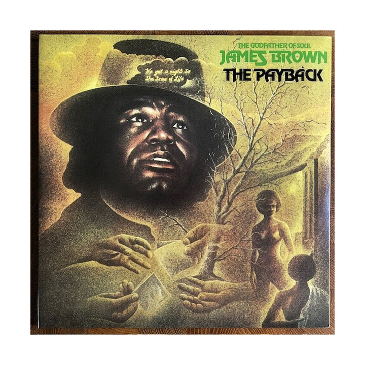 Brown James - Payback (2LP)