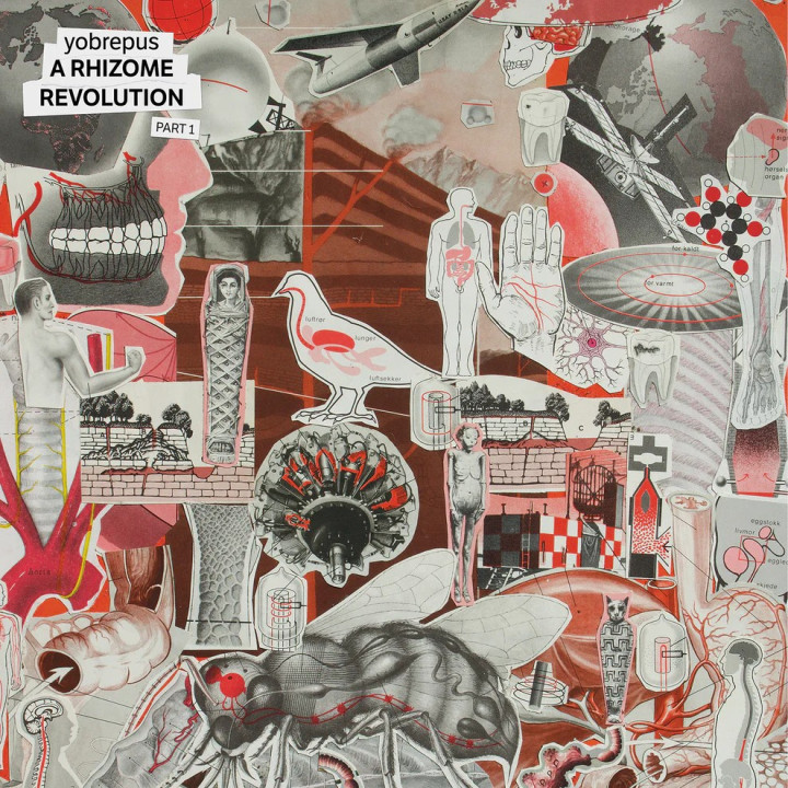 Yobrepus - Rhizome Revolution Part 1 (CD)