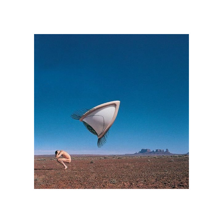 Cranberries - Bury The Hatchet (Rsd 2024) (2LP)