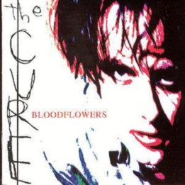 Cure The - Bloodflowers (CD)
