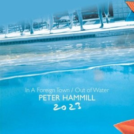 Hammill Peter - In A Foreign Town/Out Of Water (2CD)