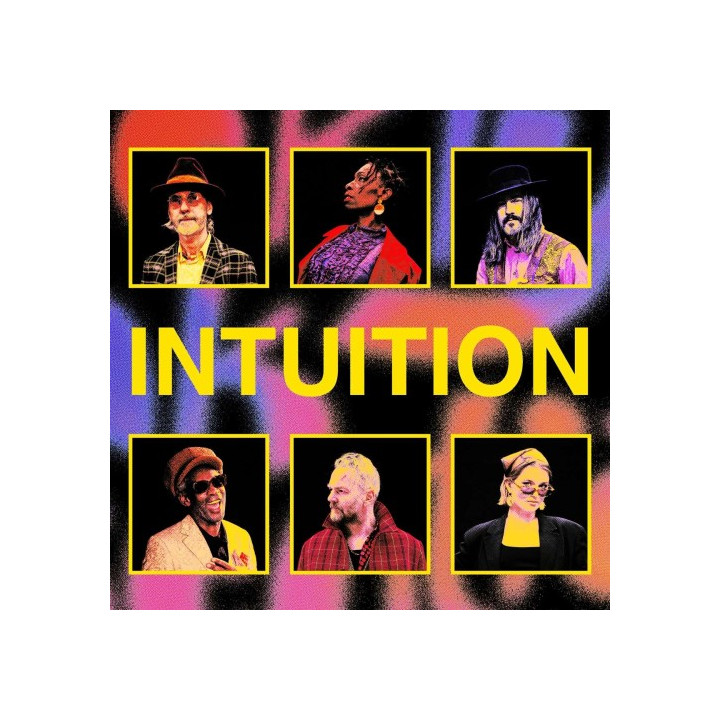 Brooklyn Funk Essentials - Intuition (LP)