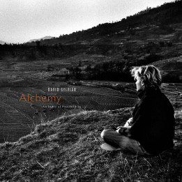 Sylvian David & Jon Hassell - Alchemy An Index Of Possibilities (LP Gold)