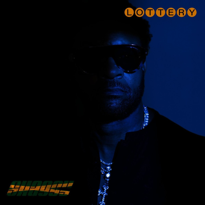 Shaggy - Lottery (LP)