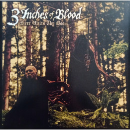 3 Inches Of Blood - Long Live Heavy Meta (2LP)