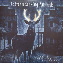 Pattern-Seeking Animals - Only Passing Through (2LP+CD)