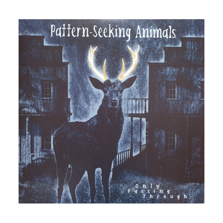 Pattern-Seeking Animals - Only Passing Through (2LP+CD)