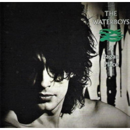 Waterboys The - A Pagan Place (CD)