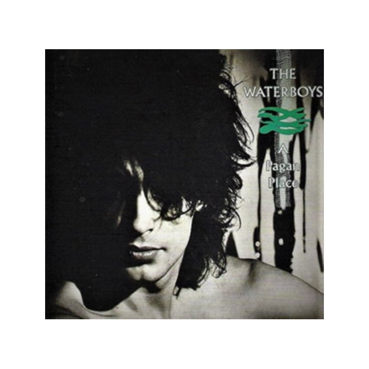 Waterboys The - A Pagan Place (CD)