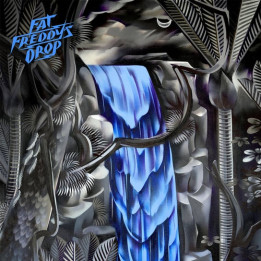 Fat Freddy'S Drop - Slo Mo (CD)
