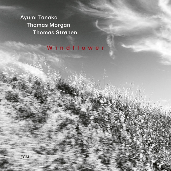 Tanaka Ayumi Trio - Windflower (CD)