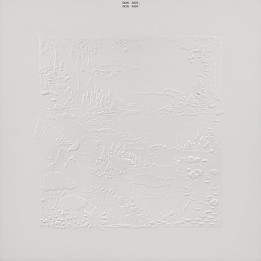 Bon Iver - Bon Iver (10Th Ann. Edition White Vinyl) (2LP)