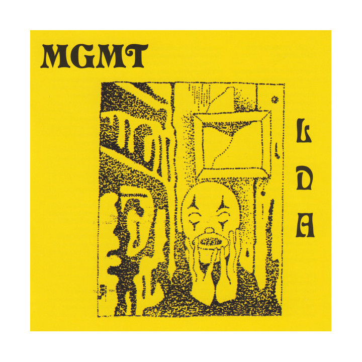 MGMT - Little Dark Age (CD)