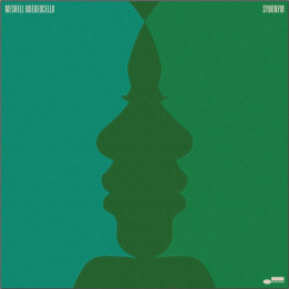 Ndegeocello Meshell - Synonym (CD)
