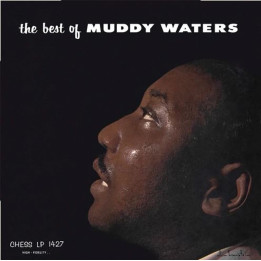 Waters Muddy - Best Of Muddy Waters (Chess Records 75th Anniv. Series) (LP)