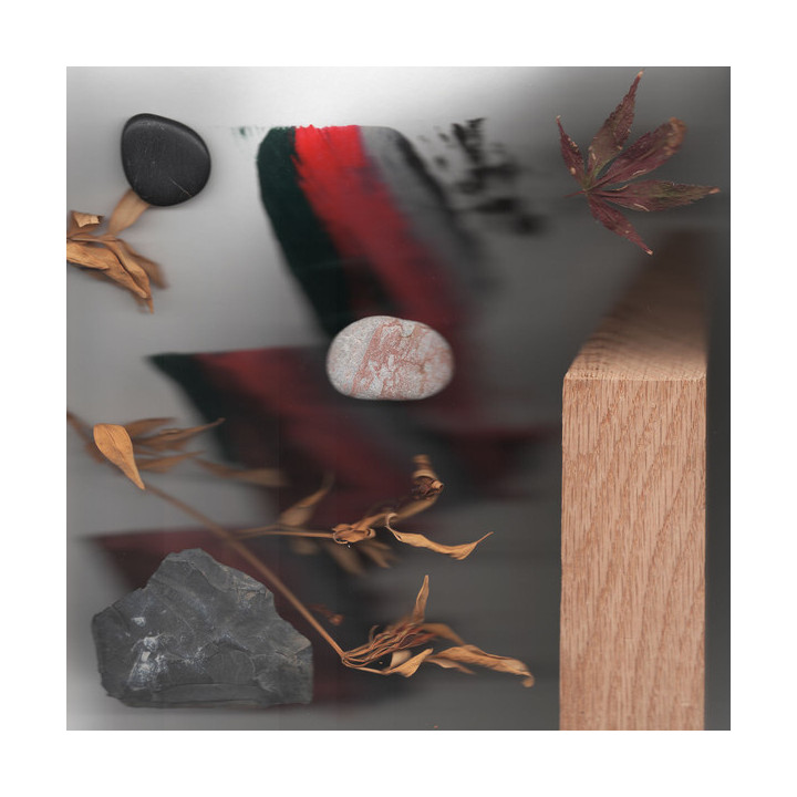 Woon Jamie - Making Time (LP)