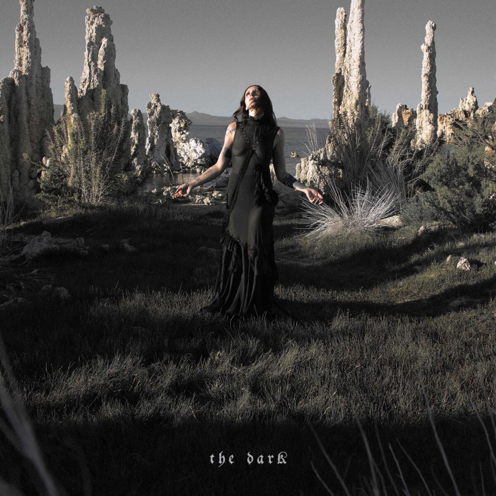 Chelsea Wolfe - The Dark (CD)