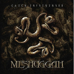 Meshuggah - Catch Thirtythree (20th Anniv.) (2LP Marbled)