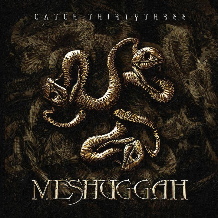 Meshuggah - Catch Thirtythree (20th Anniv.) (2LP Marbled)
