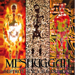 Meshuggah - Destroy Erase Improve (30th Anniv.) (2LP Marbled)