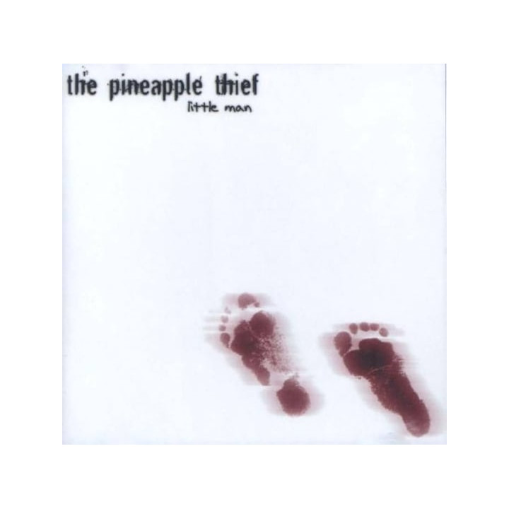 Pineapple Thief The - Little Man (CD)