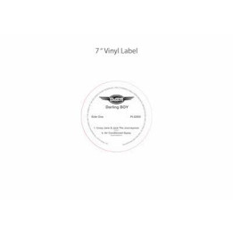 Darling BOY - Air Conditioned Gypsy EP (7")