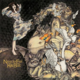 Bush Kate - Never For Ever (CD)