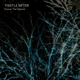 Thistle Sifter - Forever The Optimist (CD)