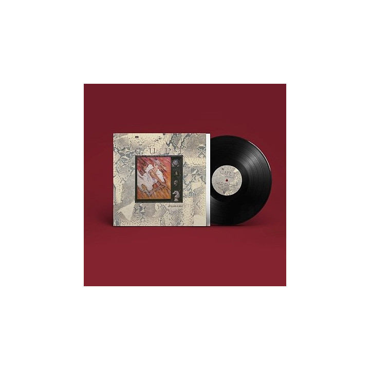 Cult The - Dreamtime (LP)