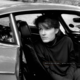 Sylvian David - Gone To Earth (2LP White/Brown)