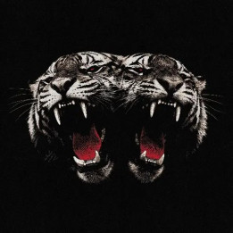Royal Blood - Dead Company (CD)