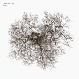 Metcalfe John - Tree (LP)