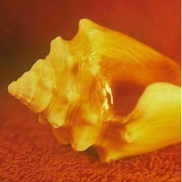 Allah-Las - Sirenas (LP)