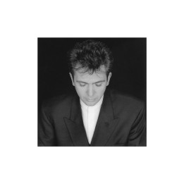 Gabriel Peter - Shaking The Tree 16 Golden Greats (CD)
