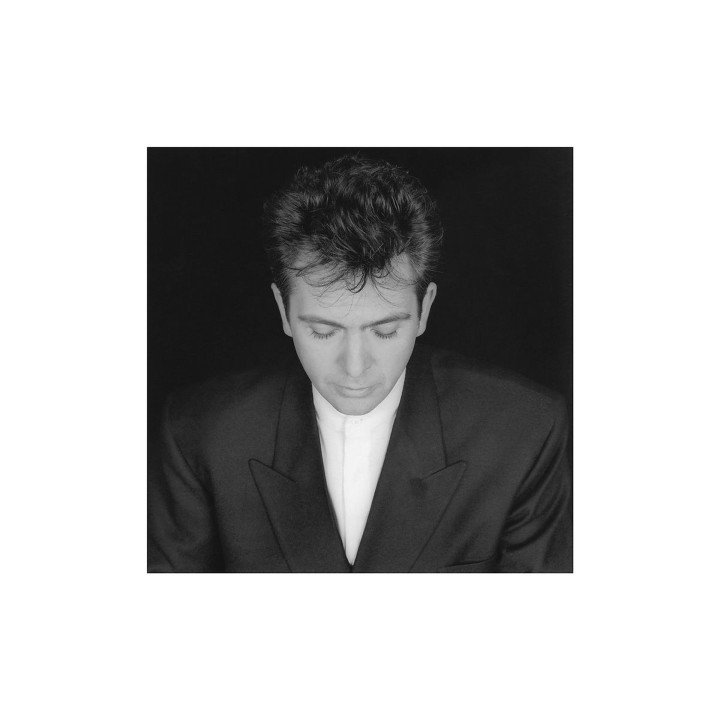 Gabriel Peter - Shaking The Tree 16 Golden Greats (CD)