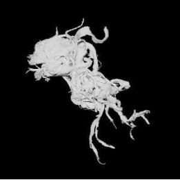 Light Damage - Light Damage (CD)
