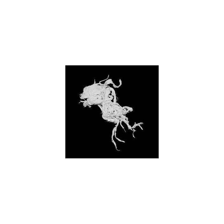 Light Damage - Light Damage (CD)
